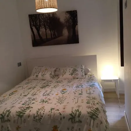 Vicaria Apartament Gijón